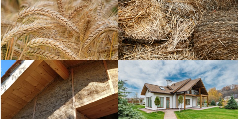 wheat, straw, green house